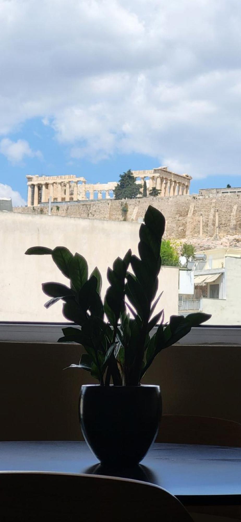 Lview Acropolis Lejlighed Athen Eksteriør billede